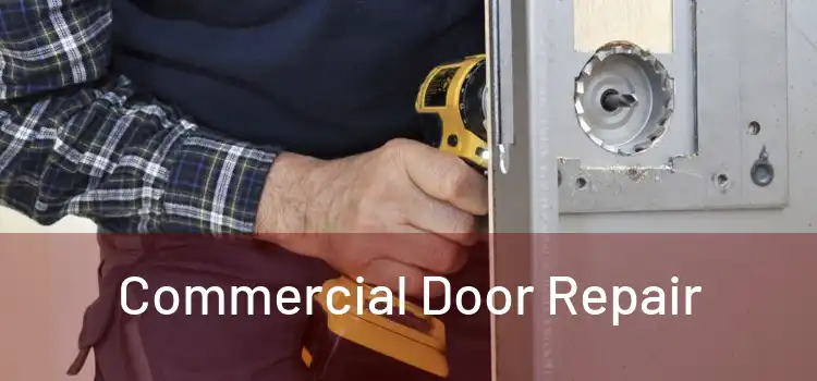  Commercial Door Repair 