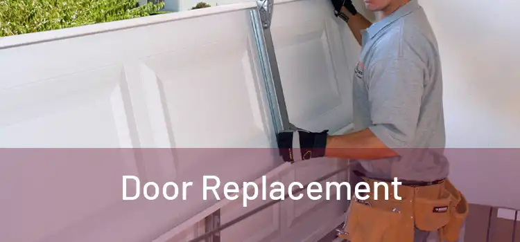  Door Replacement 